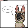 还记得大眼萌猫和退伍军犬的故事吗？霸道总裁的小甜文又来了…_0