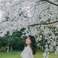 若男带了粽子给我_1