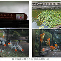 杭州西湖风景名胜区杭州动物园（六）_0