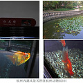 杭州西湖风景名胜区杭州动物园（六）_1
