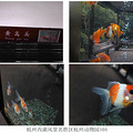 杭州西湖风景名胜区杭州动物园（六）_3