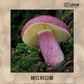 出一趟门，一家5口全中招！这年头还有比“新冠”更狡猾的毒_3
