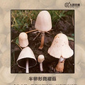 出一趟门，一家5口全中招！这年头还有比“新冠”更狡猾的毒_4