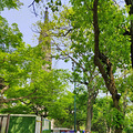 路过_5
