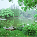 5.1前，杭州除了西湖，这些旅游景区全免!!_2