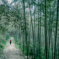 徒步登山正当时，富阳这些古道你走过几条？_0
