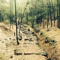 徒步登山正当时，富阳这些古道你走过几条？_1