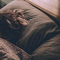 心脏拜托你按点睡觉！新研究揭示“到底几点睡算熬夜？”_5