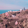 舟山嵊泗花鸟岛——海上遗世独立_3
