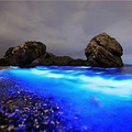 舟山嵊泗花鸟岛——海上遗世独立_4