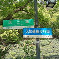 西湖群山是个宝！带着古稀之年的爸妈一起爬山，杭州网友实测这几_4