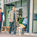 导盲犬竟被无情赶走！大家对服务犬的认识真是贫瘠_4