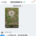 这是谁家娃？被爹妈丢在杭州一家幼儿园！真相揭晓，大家却认为爹_2