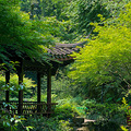 杭州·西湖区·六和塔文化公园百塔林_1