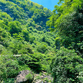 杭州·富阳区·常绿镇·石梯村，海拨560米的偏远高山小村庄_3
