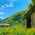 杭州·富阳区·常绿镇·石梯村，海拨560米的偏远高山小村庄_0