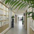 想要考上知名美院，这些知识是美术画室培训时需要牢记的_3