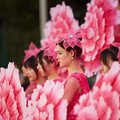 杭州所有职高分数线-杭州职高排名_5