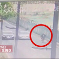 3人上演苦情戏码，抓了！_0
