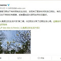 秒杀H&M和LV，这个做了10年环保时尚的国货竟然..._4