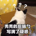 大姨妈期间能不能做爱做的事？_0