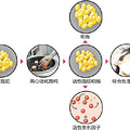 一位大佬写的医美项目普及，想跟大家分享一下~_2