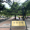 在青岛吹海风 送给父亲的礼物_0