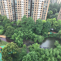 探访杭州七大房价“下跌”板块之二：滨江月明路_1