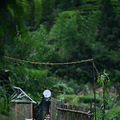 福建90后失意浪子归山造屋，一家三口晴耕雨读，过上最美田园生活_1