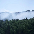 福建90后失意浪子归山造屋，一家三口晴耕雨读，过上最美田园生活_3