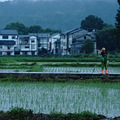 福建90后失意浪子归山造屋，一家三口晴耕雨读，过上最美田园生活_0