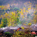 贵州竟藏了个“中国凉都”，炎夏只有19℃，景美人还少！_1