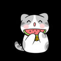 30多只萌猫陪你喝咖啡，去看看3w一只的猫猫到底长什么样子？_2
