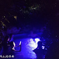 周末扫码游临安 风之谷-湍口温泉-大明山 两天一夜_0