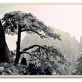 【元旦】去天下第一奇山-黄山【赏冬雪】【泡温泉】【观日出】吧_2