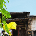 磐安旅游攻略：打卡《三十而已》取景地，在磐安高空玻璃桥漫步_5