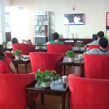 【买车日记】+您眼中的草，但是在我眼里，她是宝！_2