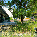 杭州·西溪花间堂，野趣盎然之美的度假酒店_2