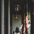 去过苏州才知道，这就是生活！_4