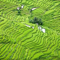 云南旅游网红打卡地，你去过几个了？_2