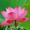 性生活后的“贤者时间”，到底是啥？男女都会有吗？正经科普来了_0