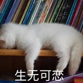 性生活后的“贤者时间”，到底是啥？男女都会有吗？正经科普来了_3