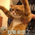 晕车、腹泻、过敏...十一出游照着这份药品清单准备，就对了！_0