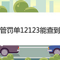 �ǹܷ���12123�ܲ鵽��
