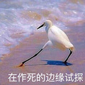我就蹭蹭不进去……4种边缘性行为坑惨多少无知男女！_3