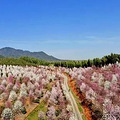 忘了黄山宏村吧，安徽这20个绝美小众地，去过算你厉害！_3