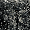 最近喜欢这种调调_4