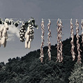 最近喜欢这种调调_3