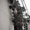 最近喜欢这种调调_5