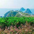 第二故乡韩国_0
